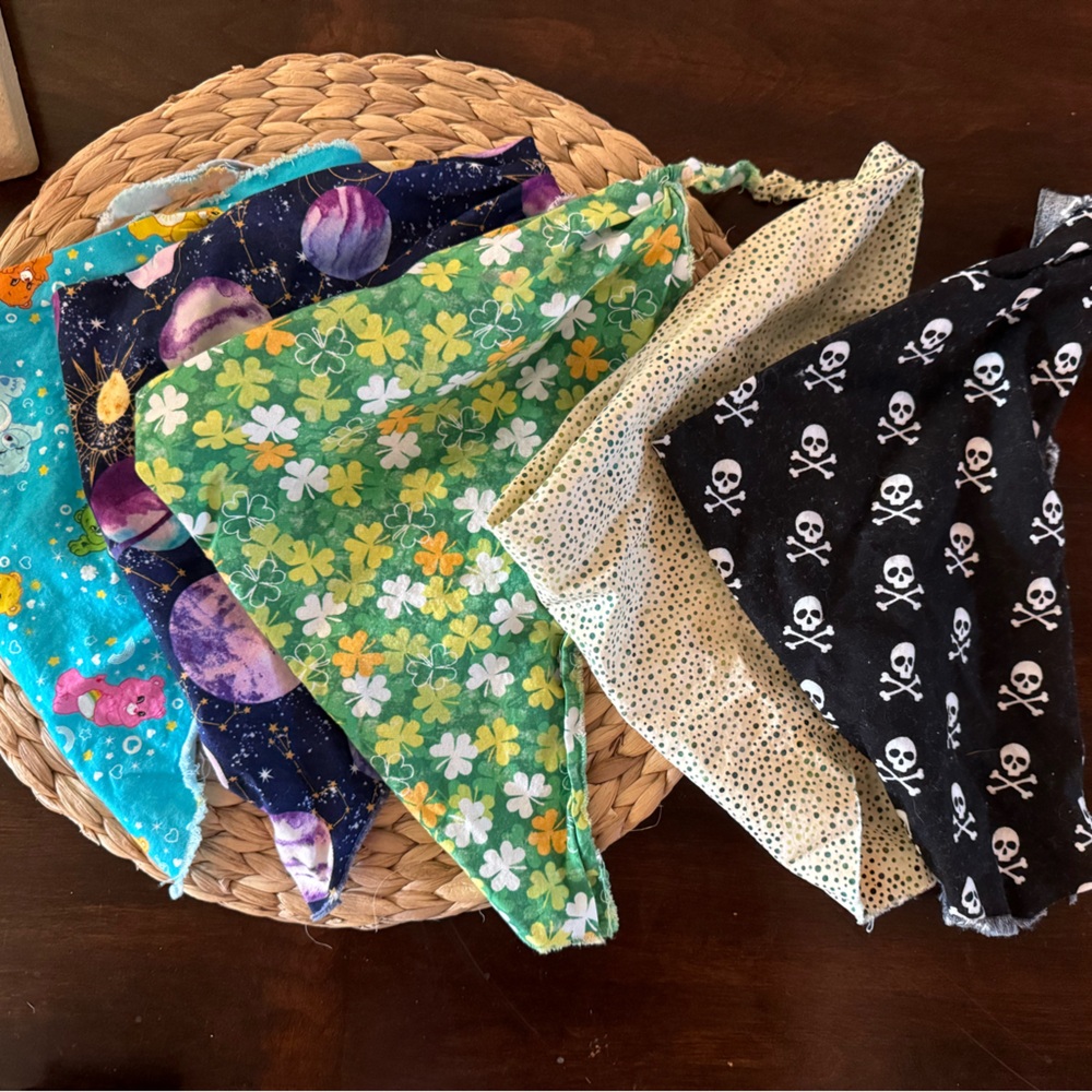 5 Piece Puppy Bandana Set